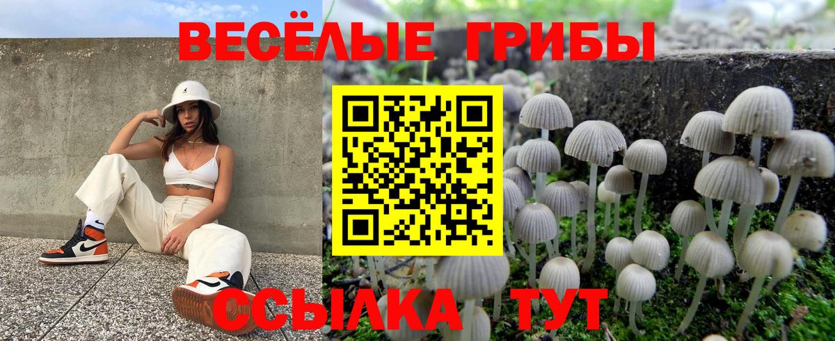 Псилоцибиновые грибы Cubensis Белорецк