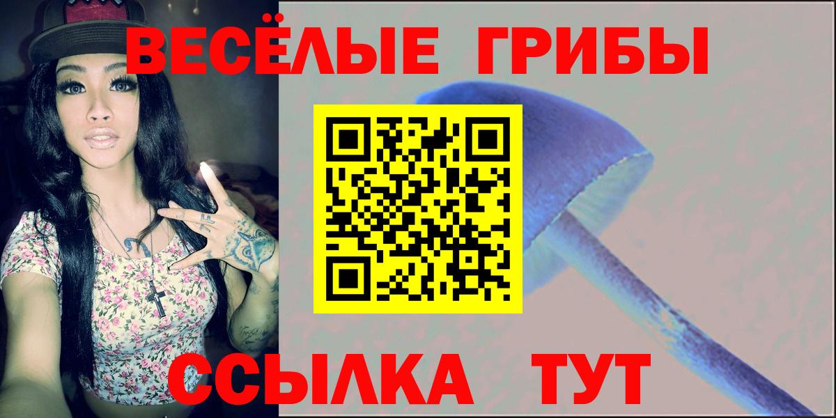 Галлюциногенные грибы Cubensis  Вход с VPN  Белорецк  Псилоцибиновые грибы мицелий 